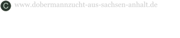 www.dobermannzucht-aus-sachsen-anhalt.de C