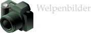 Welpenbilder