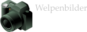 Welpenbilder